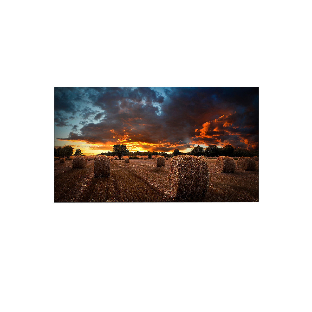 ECRAN SAMSUNG 46'' LFD VM46B NOIR