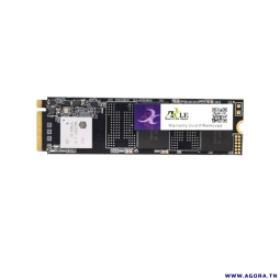 DISQUE DUR SSD AXLE 256GB PCIe M.2 2280 Gen3 x 4 | AGORA.TN