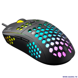 SOURIS OPTIQUE USB GAMER HAVIT HV-MS1032 RGB BACKLIT Programmable | Agora.tn