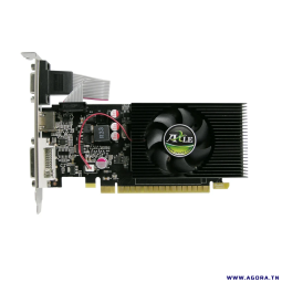 CARTE GRAPHIQUE 4GB GT730 DDR3 AXLE