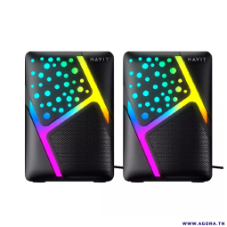 HAUT PARLEUR USB HAVIT SK763 RGB