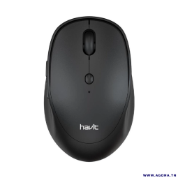 SOURIS OPTIQUE SANS FIL HAVIT MS76GT