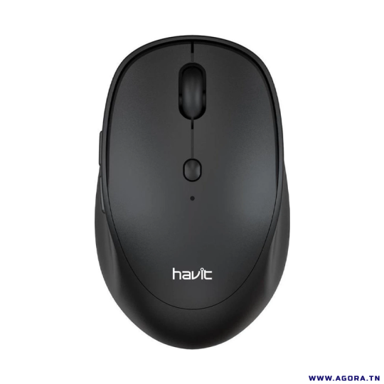 SOURIS OPTIQUE SANS FIL HAVIT MS76GT