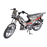 MOTO FORZA FTM DOUBLE EMBRAYAGE GRIS