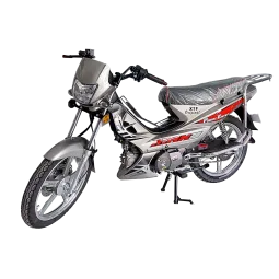 MOTO FORZA FTM DOUBLE EMBRAYAGE GRIS