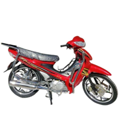 MOTO JIALING FTM ROUGE