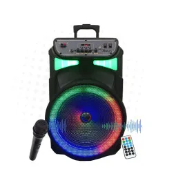 HAUT PARLEUR BOOM SOUND J-1502