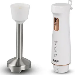 MIXEUR PLONGEANT RAF R-313W 800W BLANC