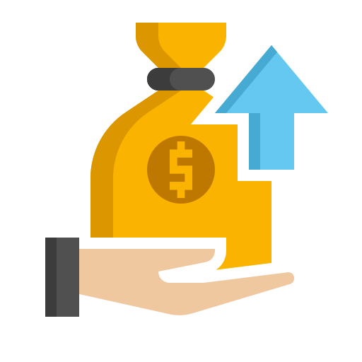Revenu Minimum