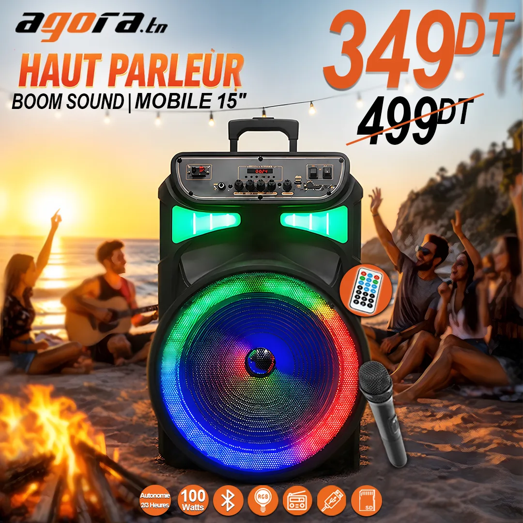 HAUT PARLEUR BOOM SOUND J-1502