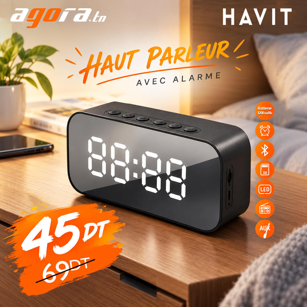 HAUT PARLEUR BLUETOOTH HAVIT